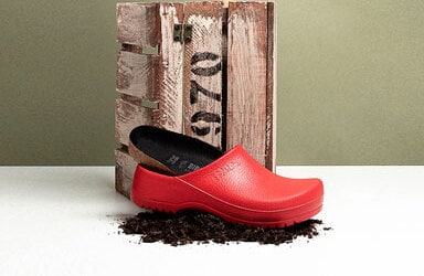 Professional Shoes