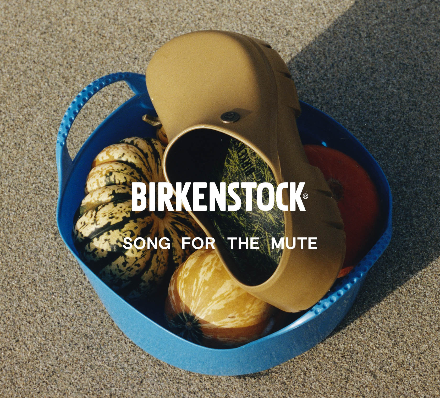Song for the Mute | BIRKENSTOCK 日本