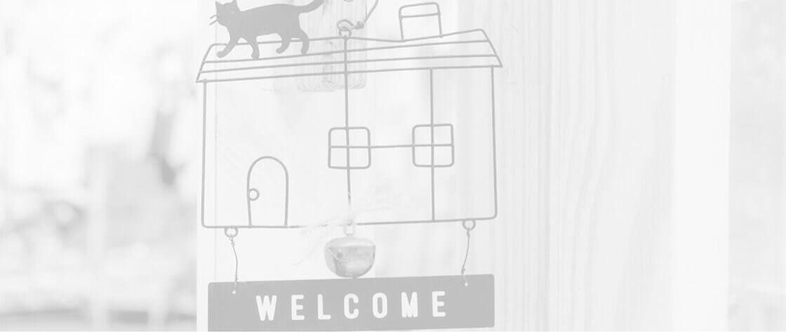 Welcome to us