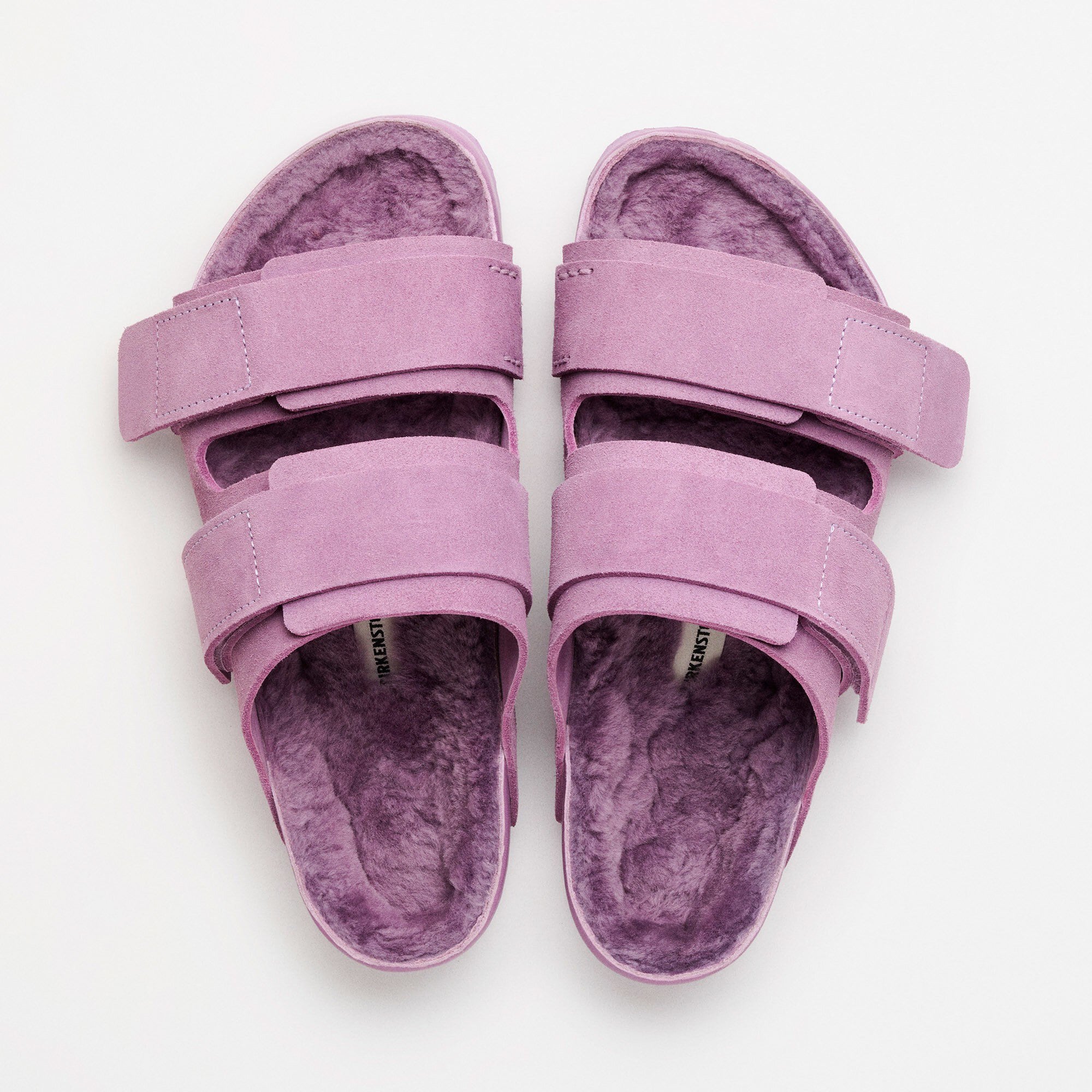 Uji Suede Tekla Suede Leather in Color Mauve | BIRKENSTOCK US