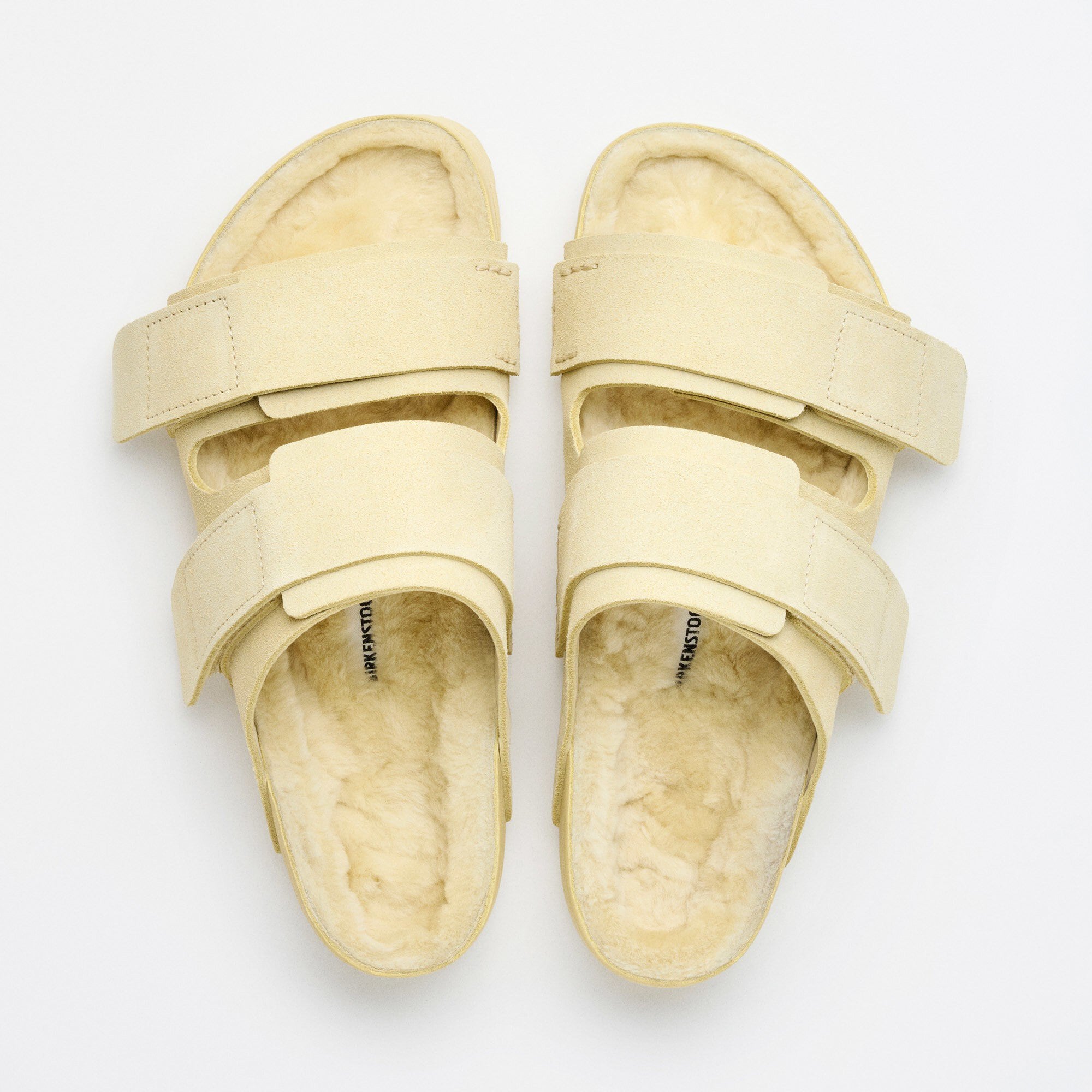 BIRKENSTOCK TEKLA Uji 箱保存袋あり Uji Suede Tekla Suede Leather in Color Straw | BIRKENSTOCK US