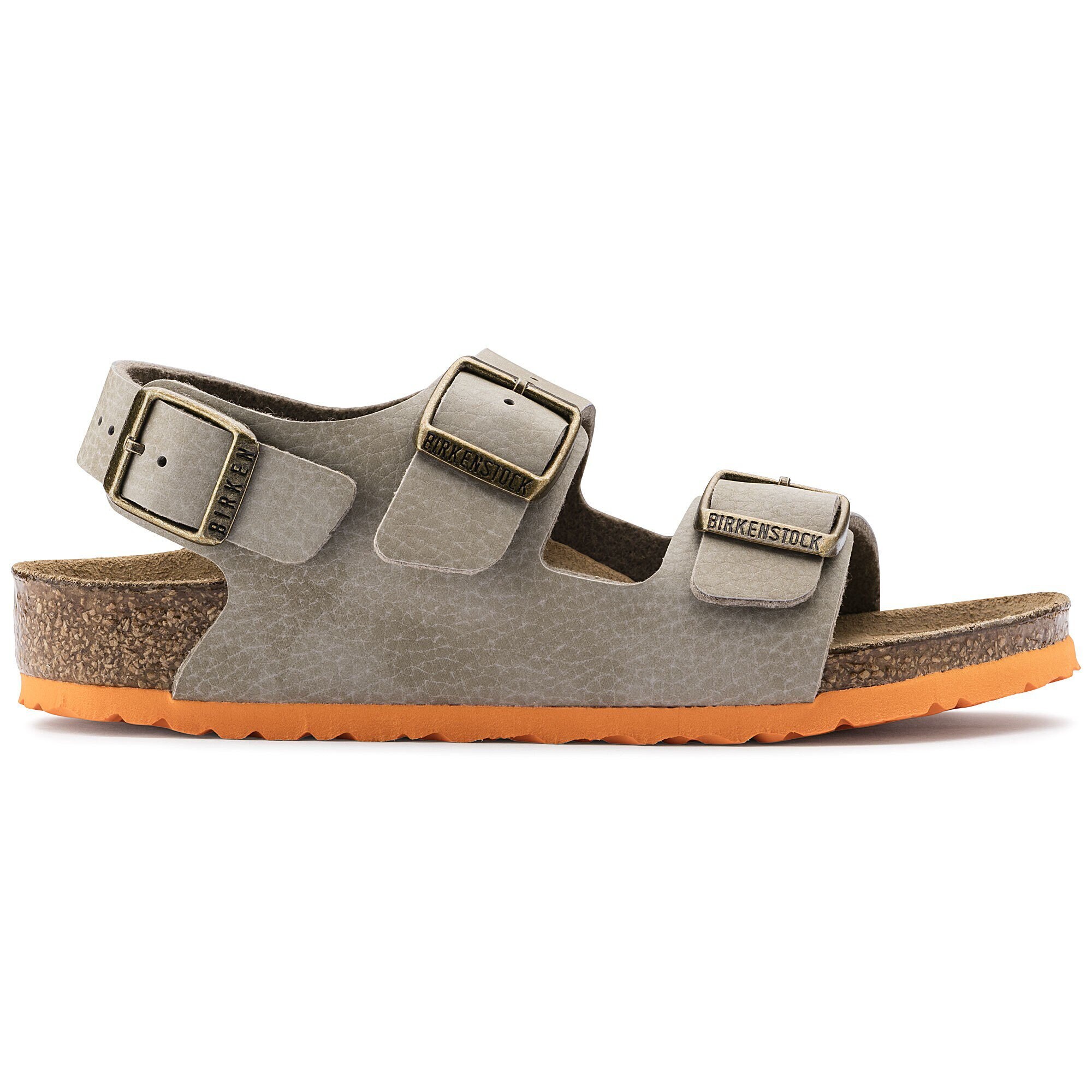 cheetah furry slides