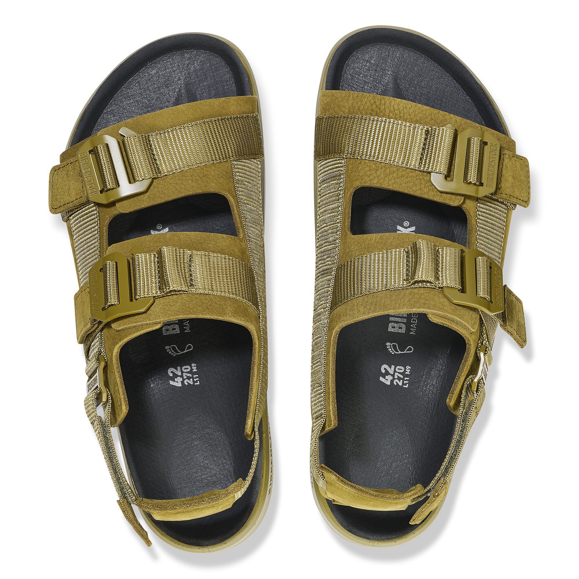楽天市場】ビルケンシュトック アリゾナ ビッグバックル ナロー ハイシャイン サーフグリーン BIRKENSTOCK Arizona Big  Buckle 1026495 High-Shine Surf Green : CRISPIN（クリスピン）