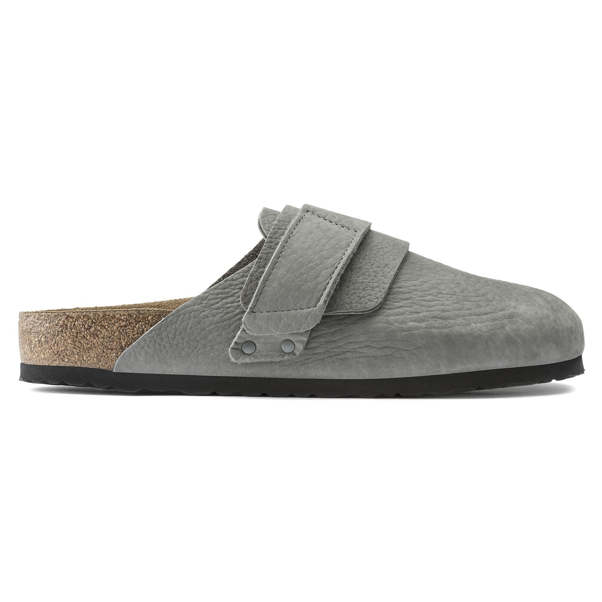 desert buck whale gray