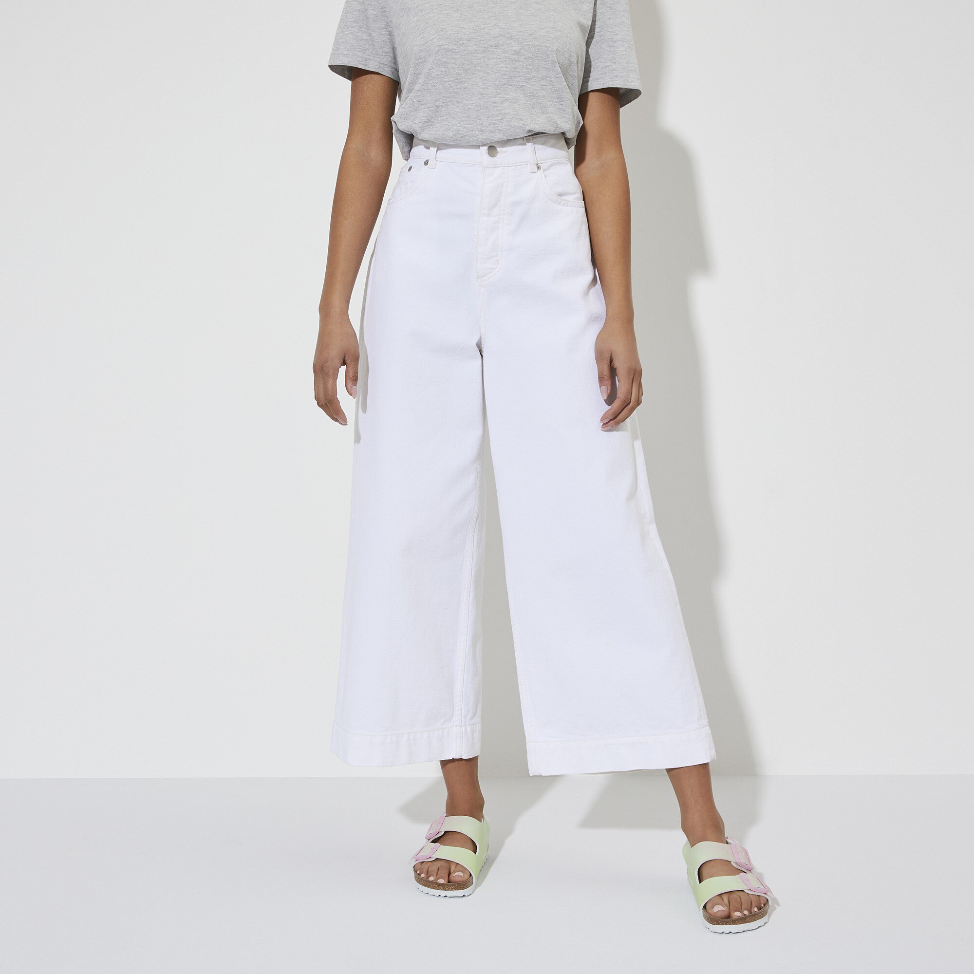 reef fanning agave palms